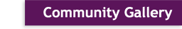 Community Gallery